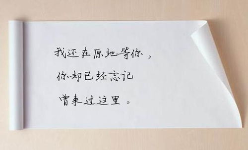 挽回前任的伤心作文,挽回爱情的秘诀