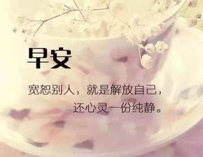 道歉挽回友谊的话语，深刻道歉，诚恳挽回友谊