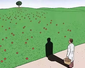 怎样挽回妈妈的信任，如何重新赢得母亲的信任