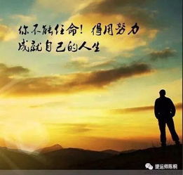 还以为尽力就能挽回,挽回爱情不只靠努力