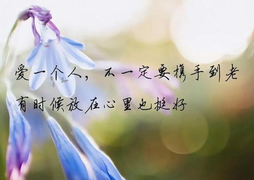 爱意文案温柔挽回,柔情挽回：温暖的爱意文案