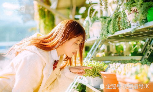 前任生气了怎么挽回,前任生气，如何挽回？)