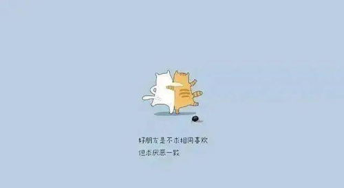 陶白白怎么挽回双子,教你成功挽回双子座陶白白