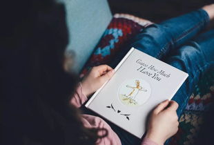 最后一次挽回英文，最终成果：使用英语标题挽回恋爱