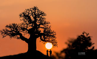 挽回7年的婚姻,7年情缘，一路挽回