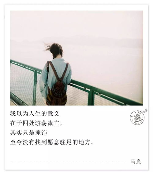 浪迹教育挽回爱情费用,浪迹教育教你如何挽回爱情