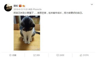 前任有新欢还想挽回,前男友欲复合新欢绕道离开