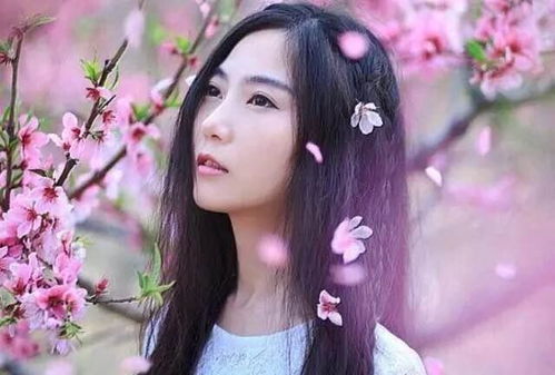 挽回伤痕的星座女,挽回伤痕：星座女的攻略