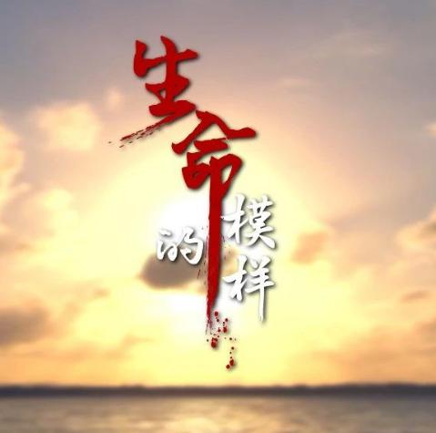 挽回生命的视频,挽救生命的视频