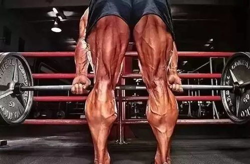 练成肌肉腿怎么挽回,如何让腿变得有肌肉：挽回之道