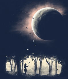 怎么挽回伤透的双鱼,如何帮助双鱼座挽回心灵创伤？