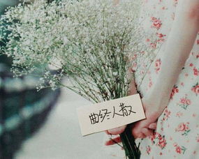 谈恋爱挽回的歌,挽救爱情之歌