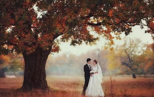 怎样挽回感情的话,挽回感情的有效方式