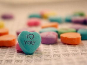 挽回未来的最好方式,挽回未来：最佳方法