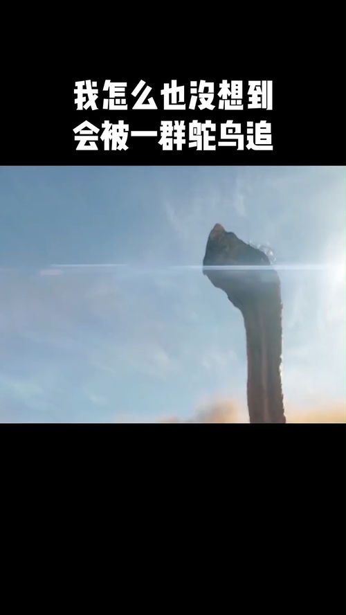 被抛弃想挽回不敢,被抛弃了，如何挽回？