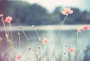 挽回对方已经彻底放下,挽回失败变再爱自己