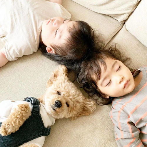 挽回属狗女人的心,如何挽回一位狗年女子的心？