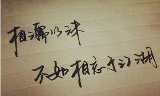 彻底死心不想挽回了，抛弃幻想，终止挽回，放下过去，开始新生活