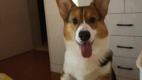 婚姻挽回行为学,如何挽回婚姻