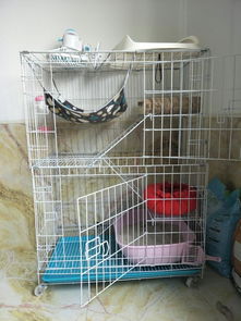 地笼子丢了怎么挽回,失踪宠物，如何寻回？