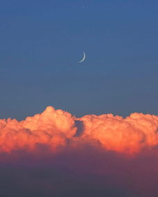 感情挽回公司名字,如何成功挽回感情？