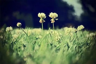 谈了分手还能挽回吗,如何挽回分手的感情)