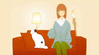 离婚还有联系怎么挽回,如何挽回离婚对象的心情？