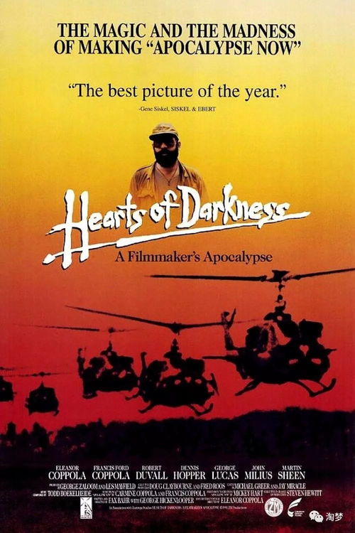 该怎么挽回你小说,重拾爱的火焰