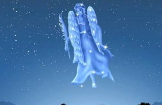 十二星座情感挽回书,十二星座感情复合技巧大揭秘