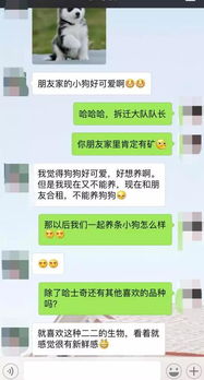 和她分手挽回文案,如何成功挽回分手女友