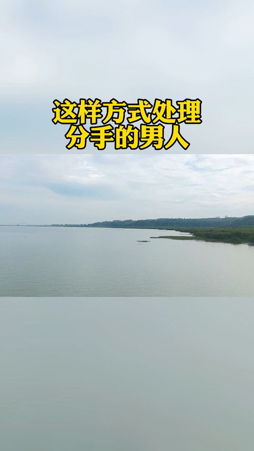 琼中情感挽回专家,琼中感情挽回专家的建议