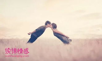 挽回姑娘的心意歌曲,挽回心意