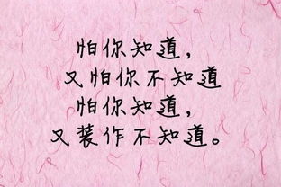 挽回的情话怎么写,我的心只属于你