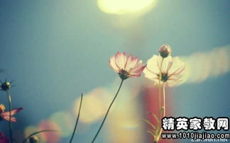 形容挽回晚会的句子,挽回晚会：从失误到新生