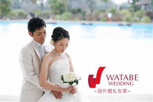 结婚挽回的事例,成功的婚姻挽回案例分享