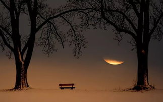 对不起女朋友想挽回,挽回女友，道歉心意诚挚