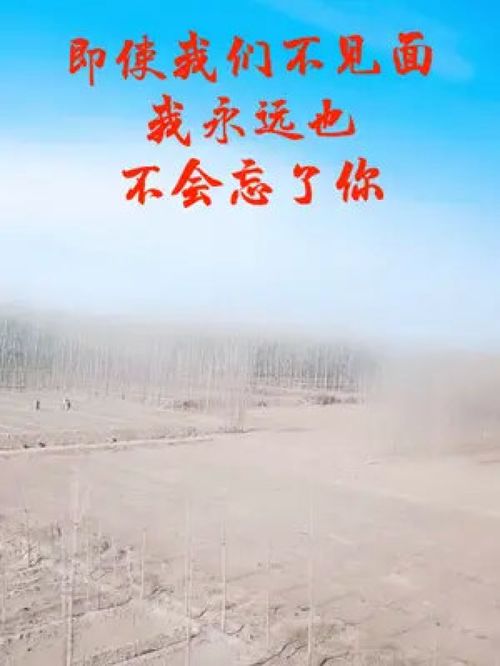 说哪些话能挽回,挽回失误，重写新生-40