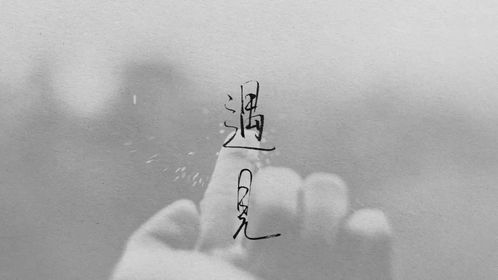 遇见前男友怎么挽回,如何挽回前男友？