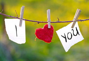 挽回主要靠什么,挽回爱情的关键方法