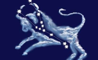 天秤挽回金牛座,如何成功挽回金牛座？