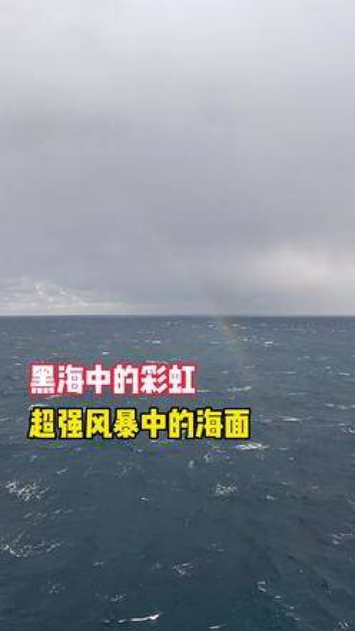 挽回生活的书籍,重新振作：复苏人生