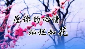 挽回朋友情歌曲,失友重逢，情谊再续