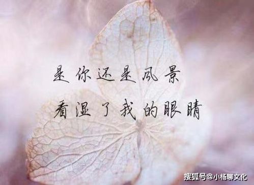 挽回男友深夜文案短句,如何挽回男友？深夜来一波文案短句！