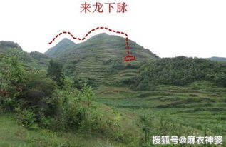 外缘殊胜挽回家运,“风水宝地”护佑家运，外缘殊胜获新生