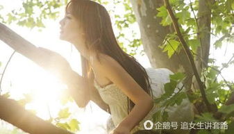 说什么话容易挽回,挽回爱情，你需要这些技巧