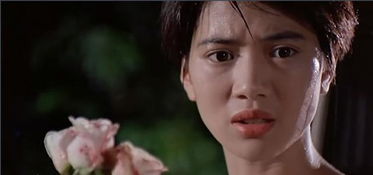 深情挽回刘师傅,感动人心的刘师傅之爱情故事