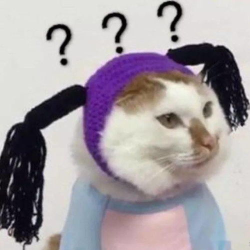 挽回女生送什么花,挽回女生，这些花最适合送