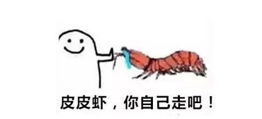 试探性的挽回,试探性挽回的可行方法