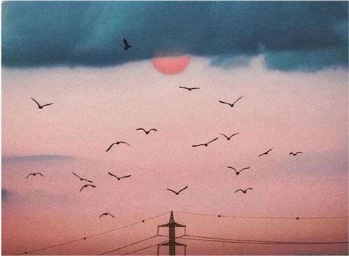 卑微挽回纠缠的文案，无助的亲情：如何修复破碎的关系