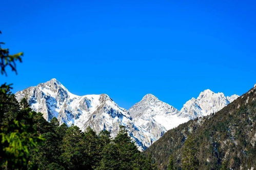 开封婚姻挽回哪里好,开封婚姻挽回机构推荐